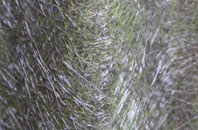 Hoar Cross fibreglass roof work